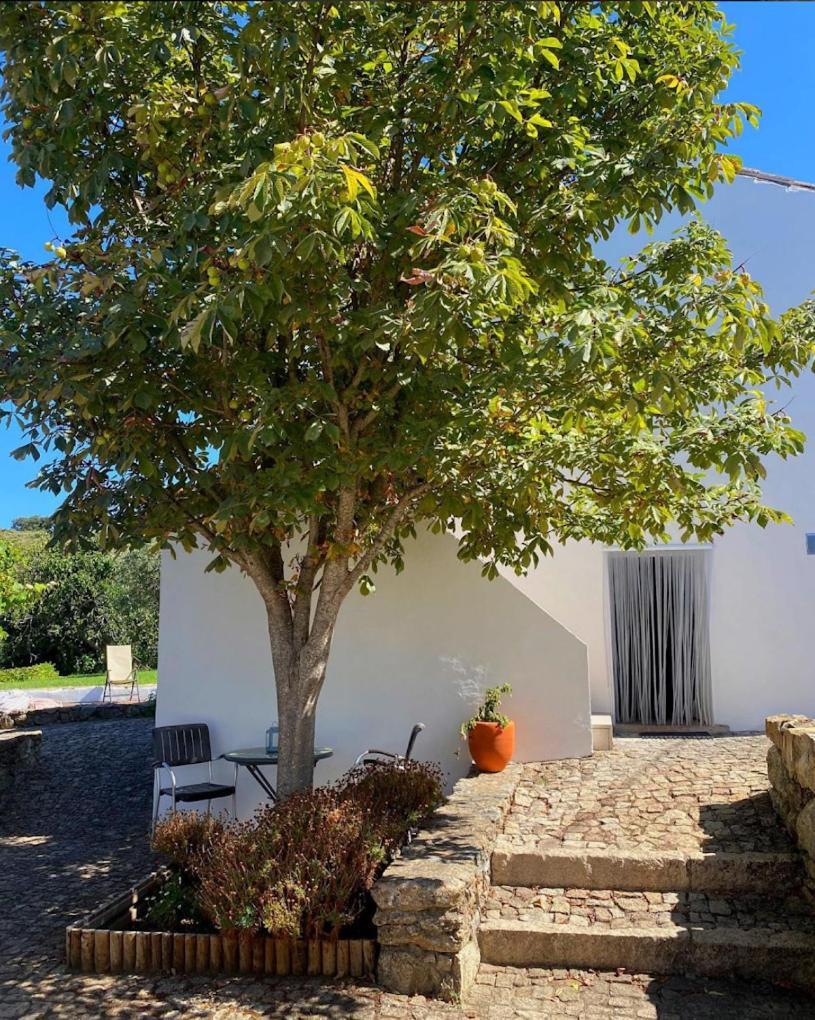 Villa Quinta D'Abegoa Marvão Exterior foto