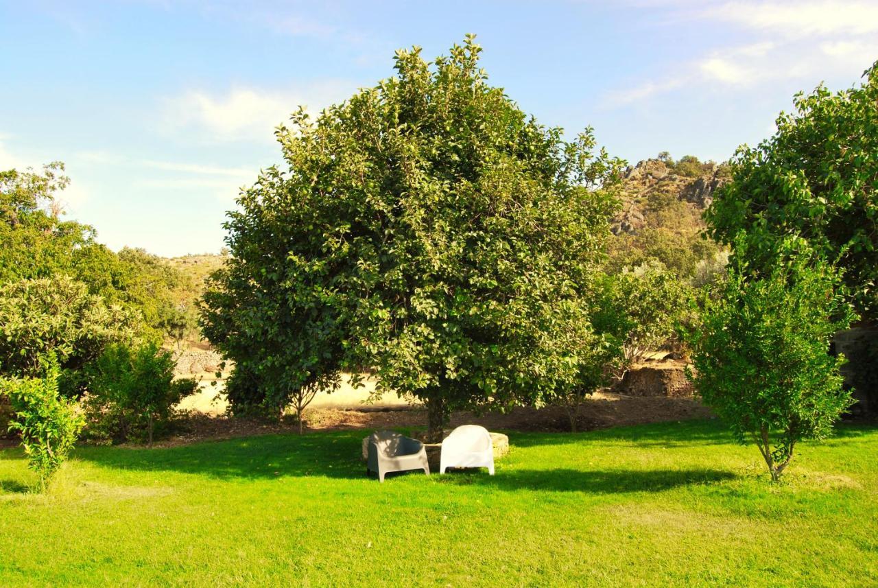 Villa Quinta D'Abegoa Marvão Exterior foto
